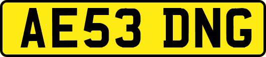 AE53DNG
