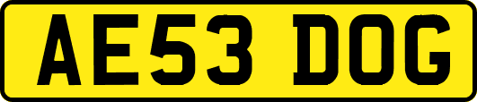 AE53DOG