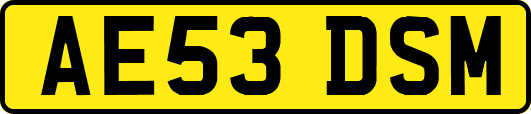 AE53DSM