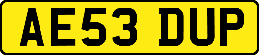 AE53DUP