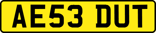 AE53DUT