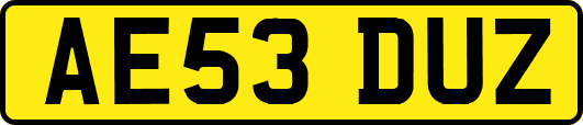 AE53DUZ