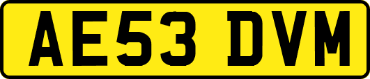 AE53DVM