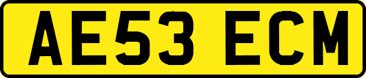 AE53ECM