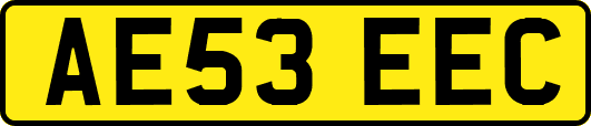 AE53EEC