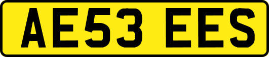 AE53EES