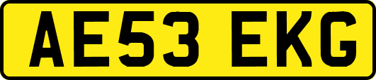 AE53EKG
