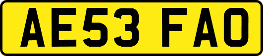 AE53FAO