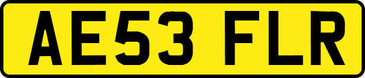 AE53FLR