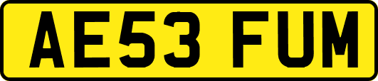 AE53FUM
