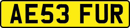 AE53FUR