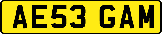 AE53GAM