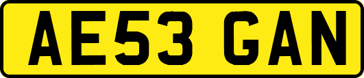 AE53GAN