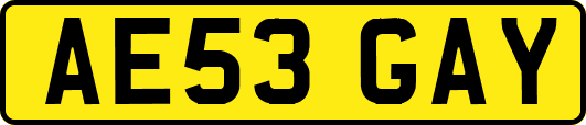 AE53GAY