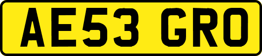 AE53GRO