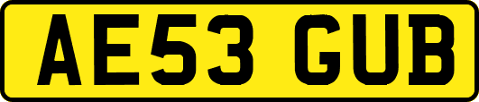AE53GUB