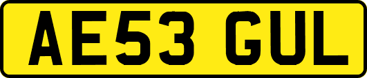 AE53GUL