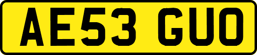 AE53GUO