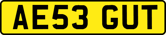 AE53GUT