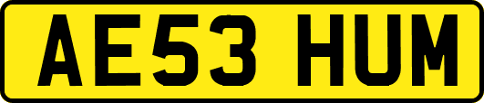 AE53HUM