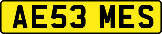 AE53MES