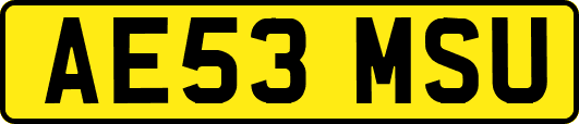 AE53MSU
