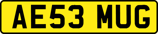 AE53MUG