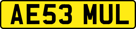 AE53MUL