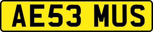 AE53MUS