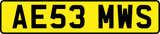 AE53MWS