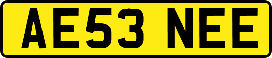 AE53NEE