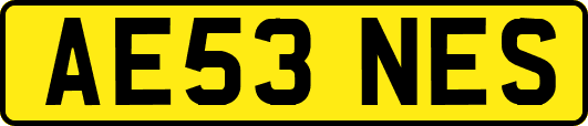 AE53NES