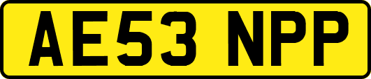 AE53NPP
