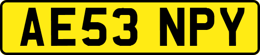 AE53NPY