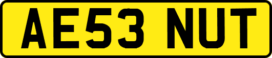 AE53NUT