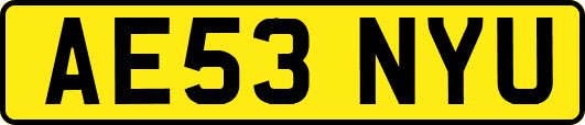 AE53NYU