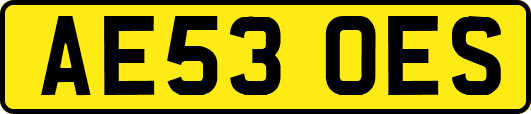 AE53OES