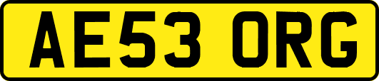 AE53ORG