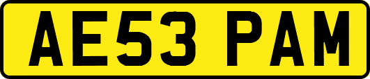 AE53PAM