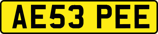 AE53PEE