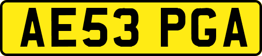 AE53PGA