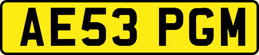 AE53PGM