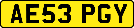 AE53PGY