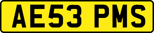 AE53PMS