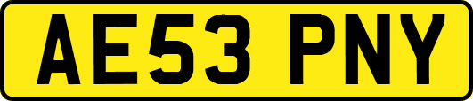 AE53PNY