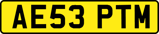 AE53PTM