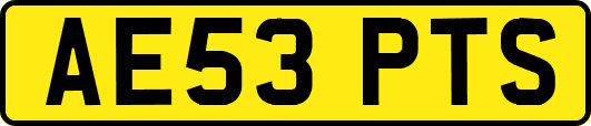 AE53PTS