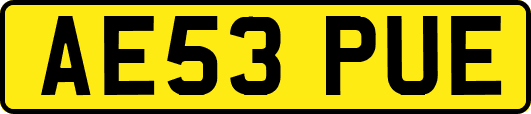 AE53PUE