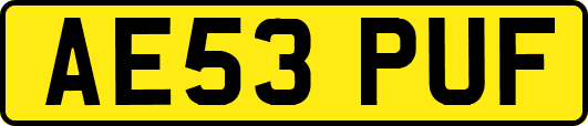 AE53PUF