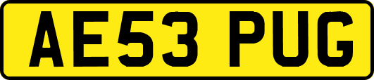 AE53PUG
